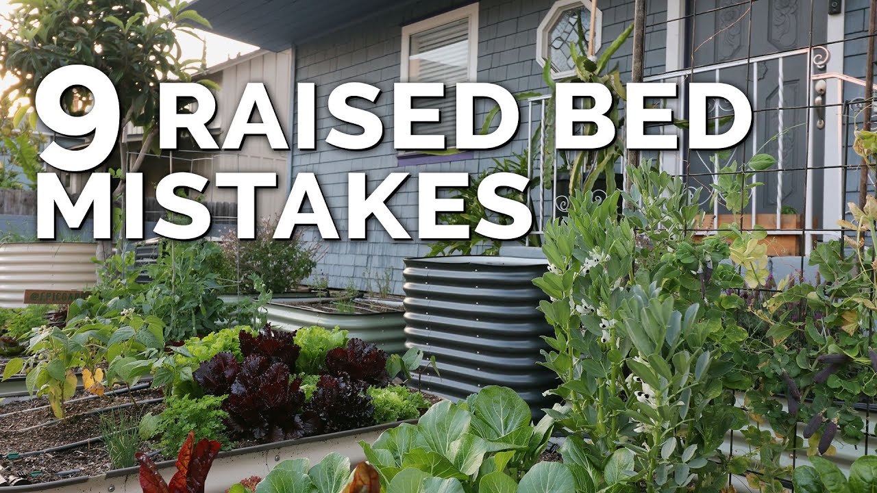 Raised Bed Gardening: The Plants to Stay Away From